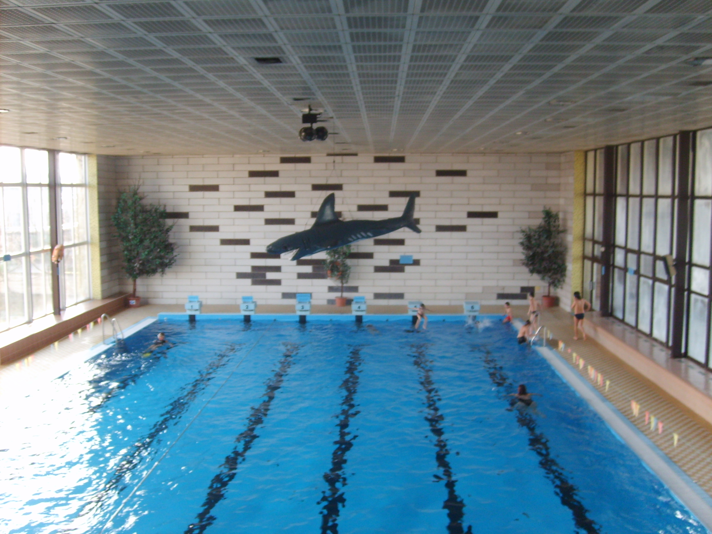 S5007090.JPG