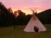 109057136_th.jpg